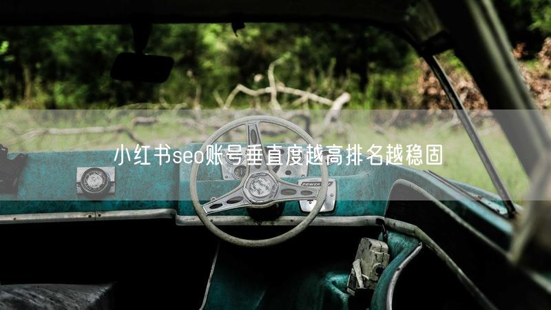 小红书seo账号垂直度越高排名越稳固