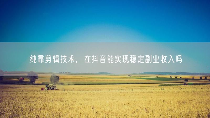 纯靠剪辑技术，在抖音能实现稳定副业收入吗
