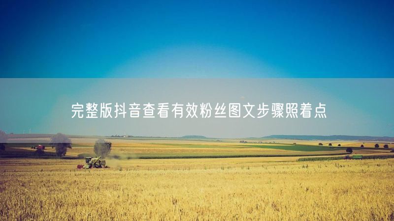 完整版抖音查看有效粉丝图文步骤照着点