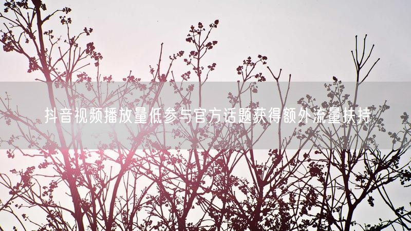 抖音视频播放量低参与官方话题获得额外流量扶持