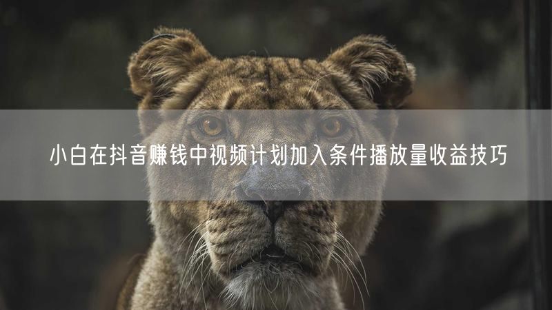 小白在抖音赚钱中视频计划加入条件播放量收益技巧