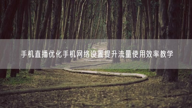 手机直播优化手机网络设置提升流量使用效率教学