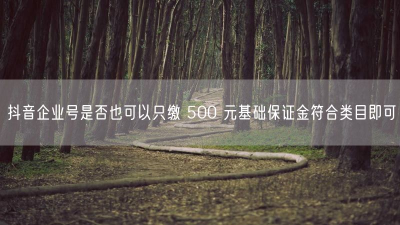 抖音企业号是否也可以只缴 500 元基础保证金符合类目即可