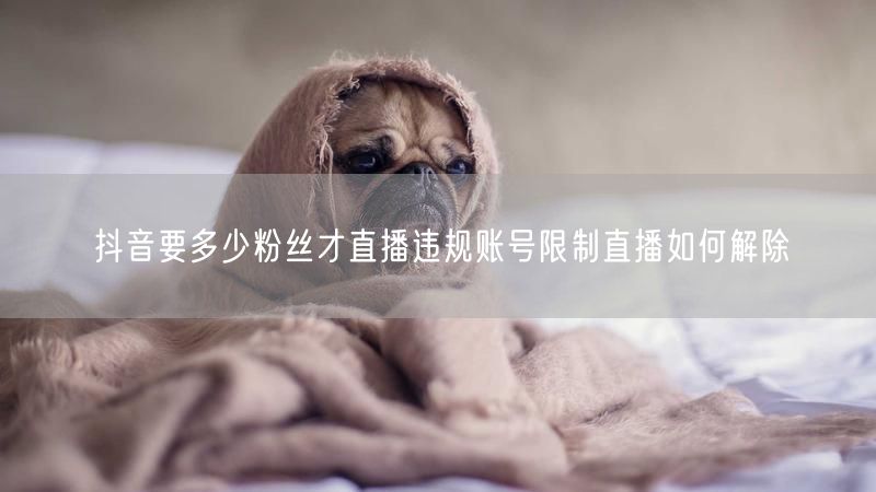 抖音要多少粉丝才直播违规账号限制直播如何解除