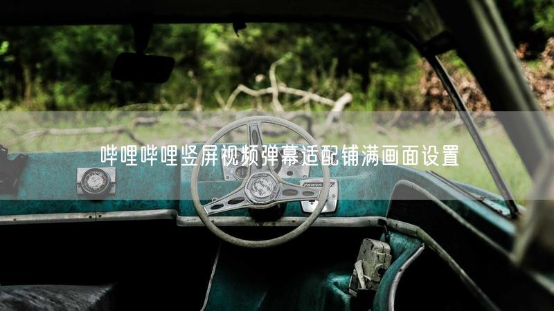 哔哩哔哩竖屏视频弹幕适配铺满画面设置