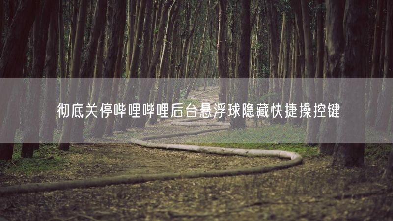 彻底关停哔哩哔哩后台悬浮球隐藏快捷操控键
