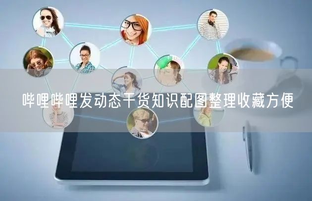 哔哩哔哩发动态干货知识配图整理收藏方便