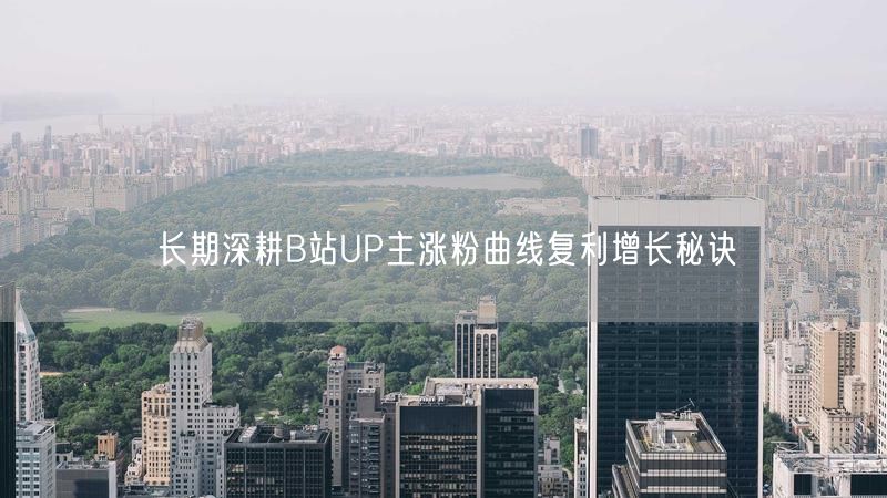 长期深耕B站UP主涨粉曲线复利增长秘诀