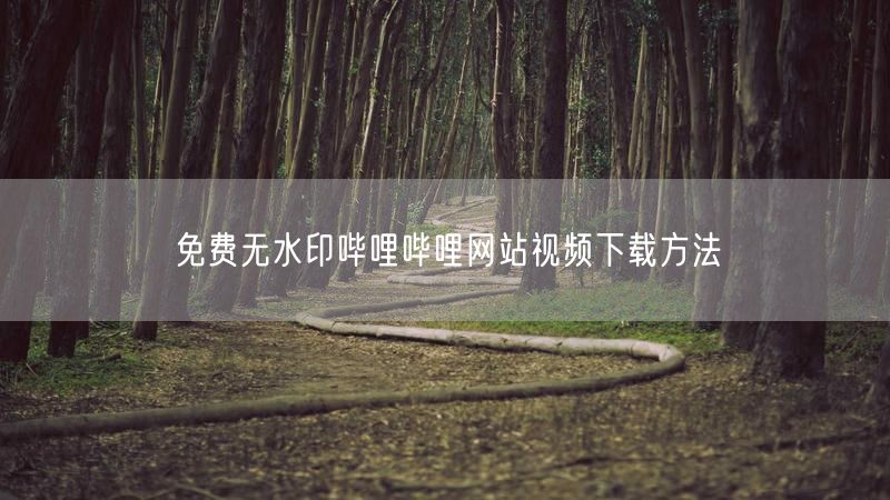 免费无水印哔哩哔哩网站视频下载方法
