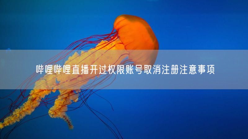 哔哩哔哩直播开过权限账号取消注册注意事项