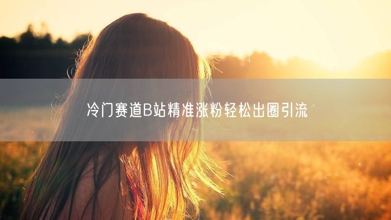 冷门赛道B站精准涨粉轻松出圈引流