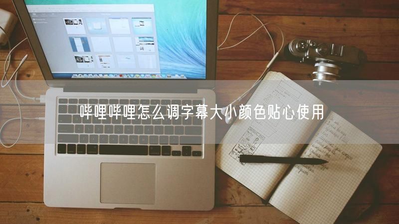 哔哩哔哩怎么调字幕大小颜色贴心使用