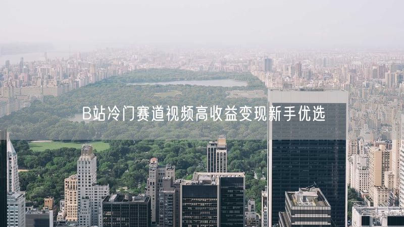 B站冷门赛道视频高收益变现新手优选