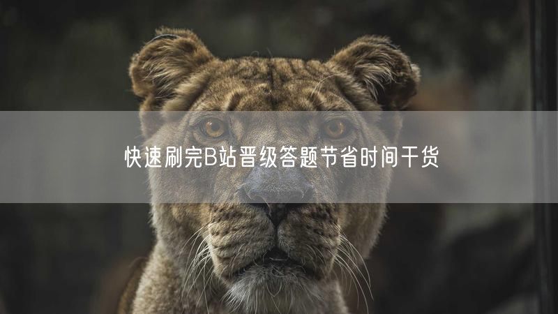 快速刷完B站晋级答题节省时间干货