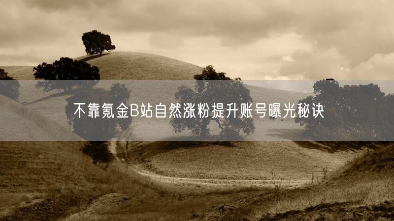 不靠氪金B站自然涨粉提升账号曝光秘诀