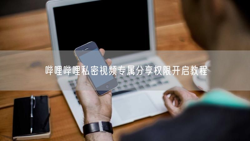 哔哩哔哩私密视频专属分享权限开启教程