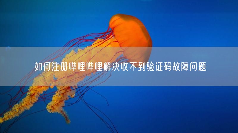 如何注册哔哩哔哩解决收不到验证码故障问题