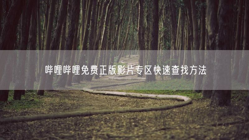 哔哩哔哩免费正版影片专区快速查找方法