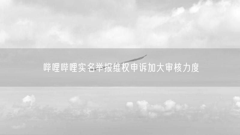 哔哩哔哩实名举报维权申诉加大审核力度