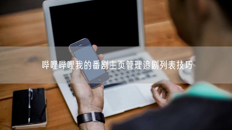 哔哩哔哩我的番剧主页管理追剧列表技巧