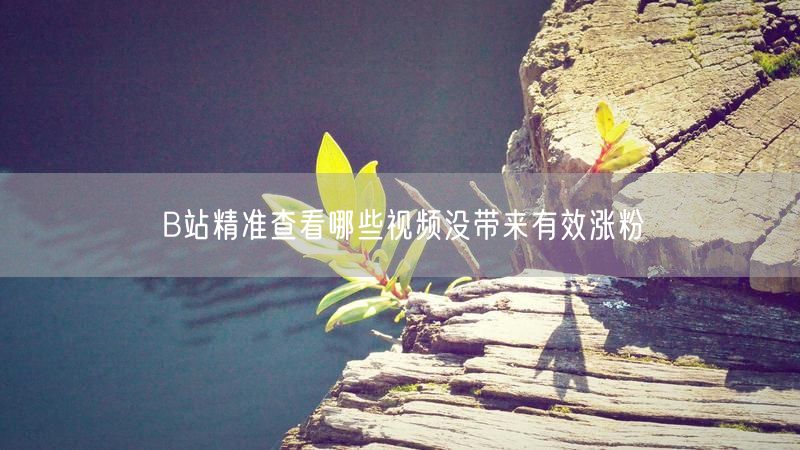B站精准查看哪些视频没带来有效涨粉