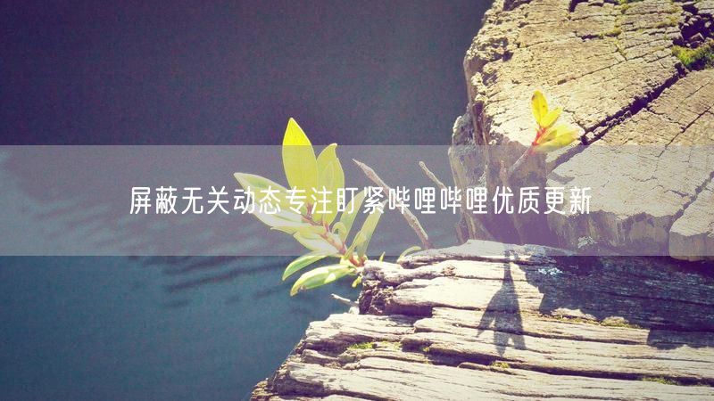 屏蔽无关动态专注盯紧哔哩哔哩优质更新