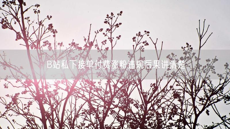 B站私下接单付费涨粉违规后果讲清楚