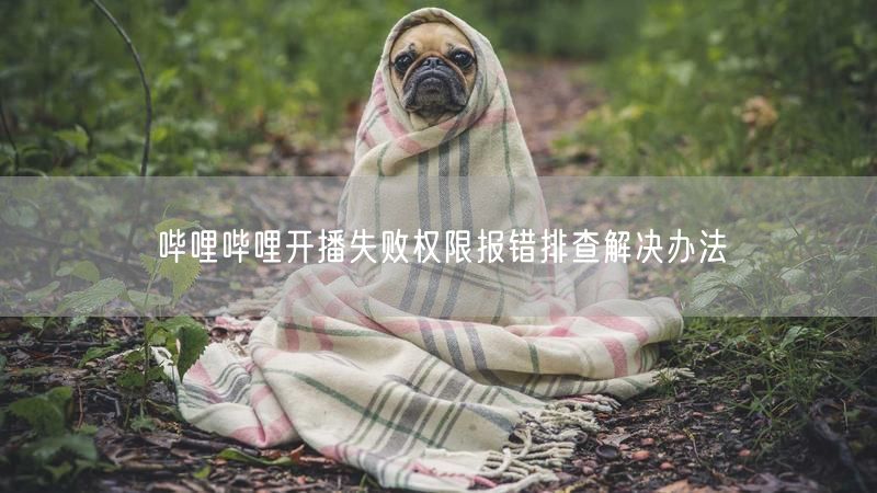 哔哩哔哩开播失败权限报错排查解决办法