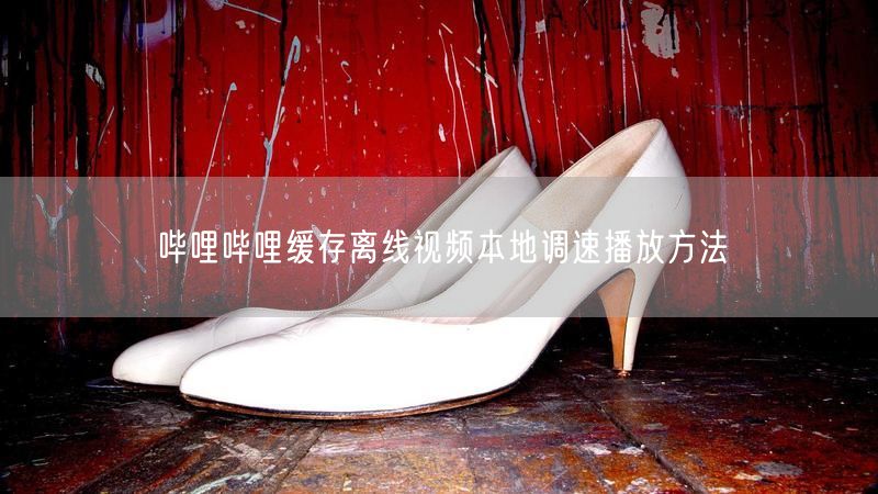 哔哩哔哩缓存离线视频本地调速播放方法