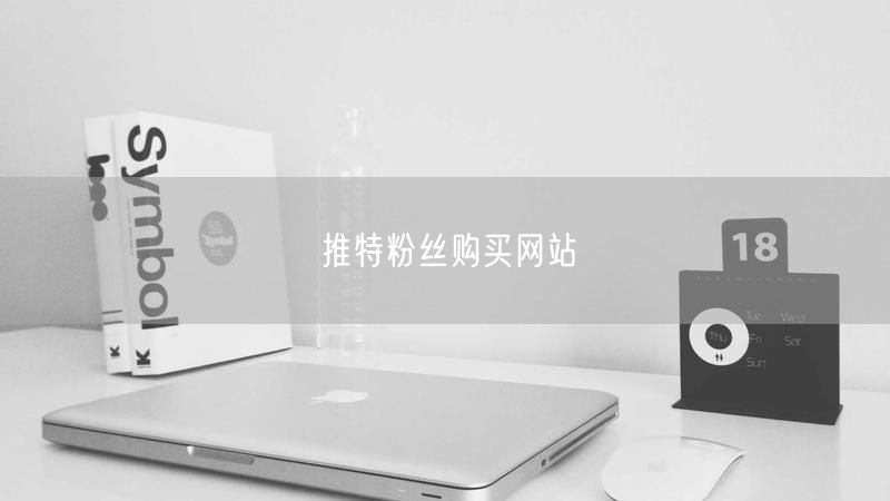推特粉丝购买网站