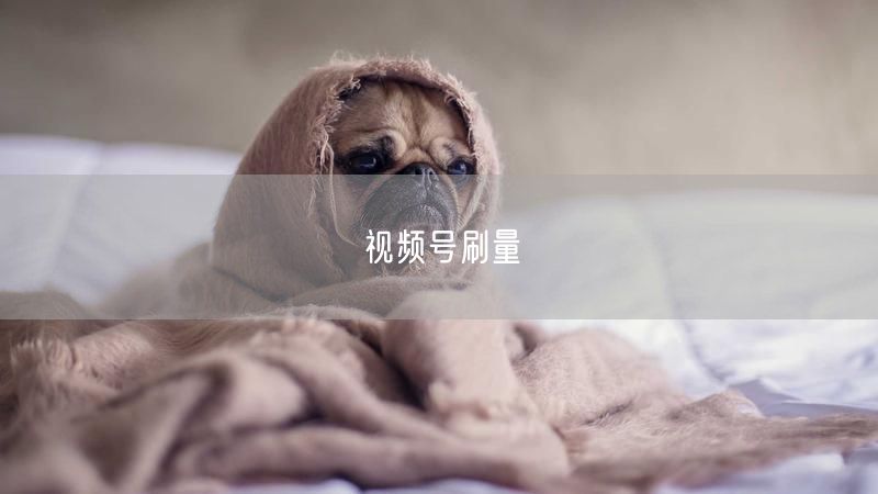 视频号刷量