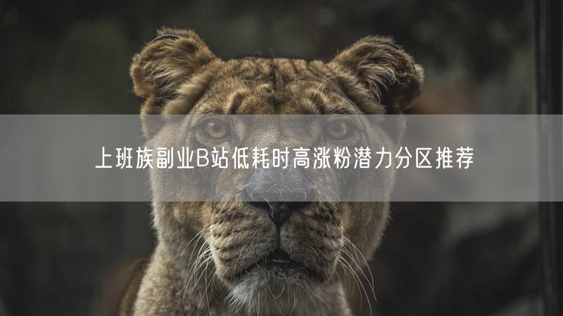 上班族副业B站低耗时高涨粉潜力分区推荐