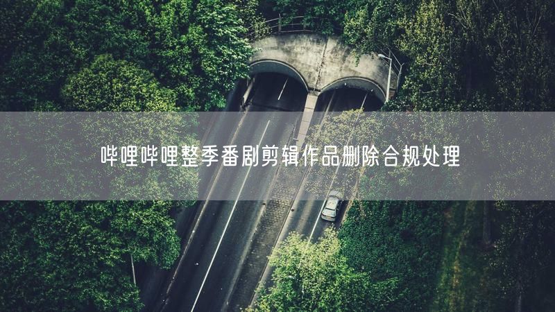 哔哩哔哩整季番剧剪辑作品删除合规处理