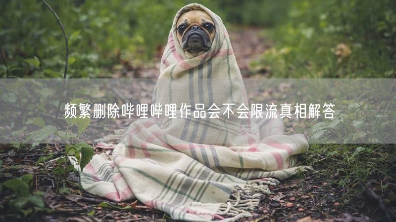 频繁删除哔哩哔哩作品会不会限流真相解答